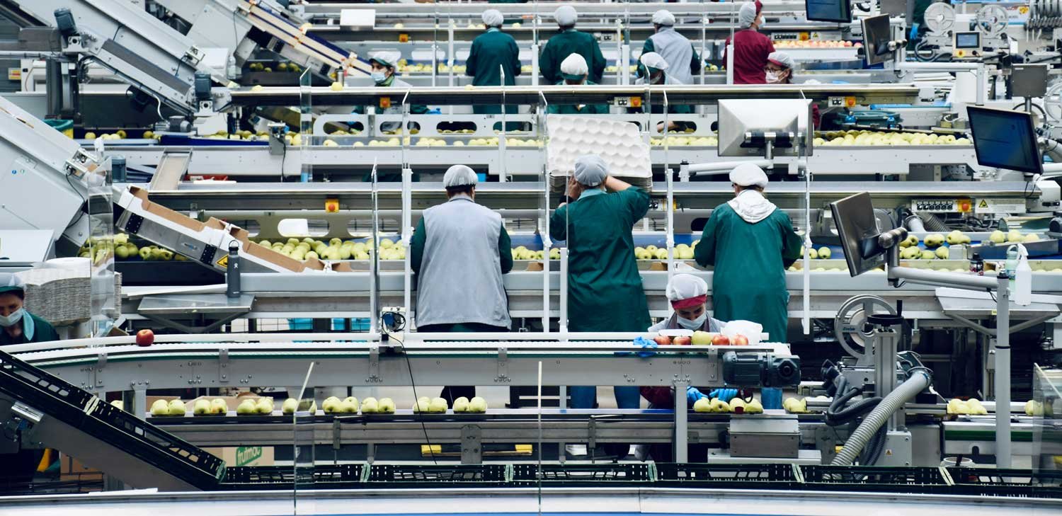 a group of people working in a food factory